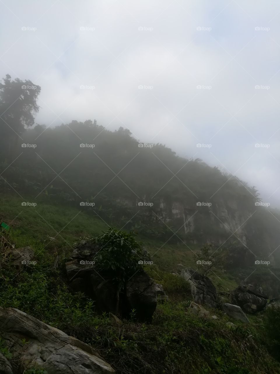 fog and mountain