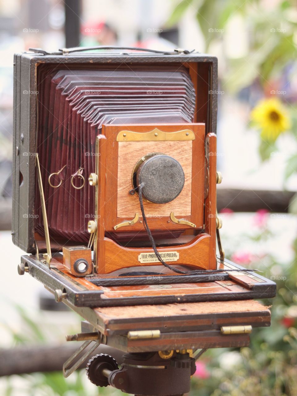 Vintage camera 