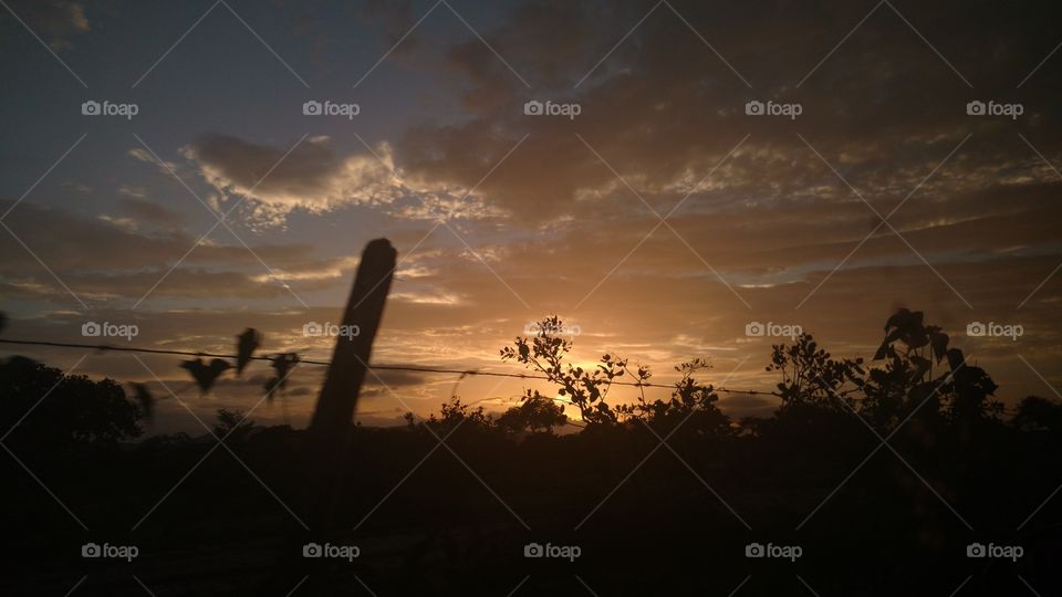 Silhouette, Sunset, Backlit, Landscape, Dawn