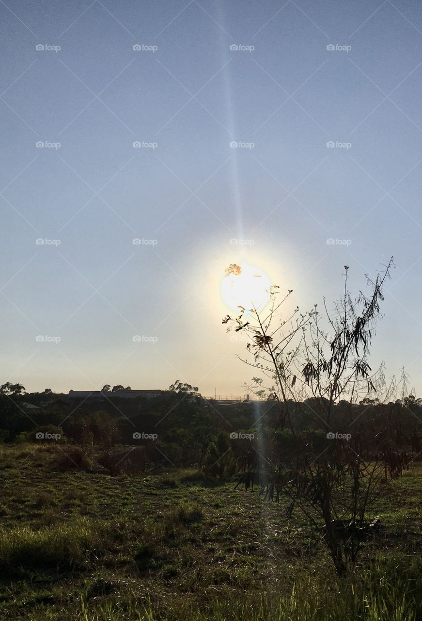 The well-formed sun brightening nature.  This beautiful click was with an iPhone SE, here in Brazil. / O sol muito bem formado clareando a natureza. Este belo clique foi com um iPhone SE, aqui no Brasil. 