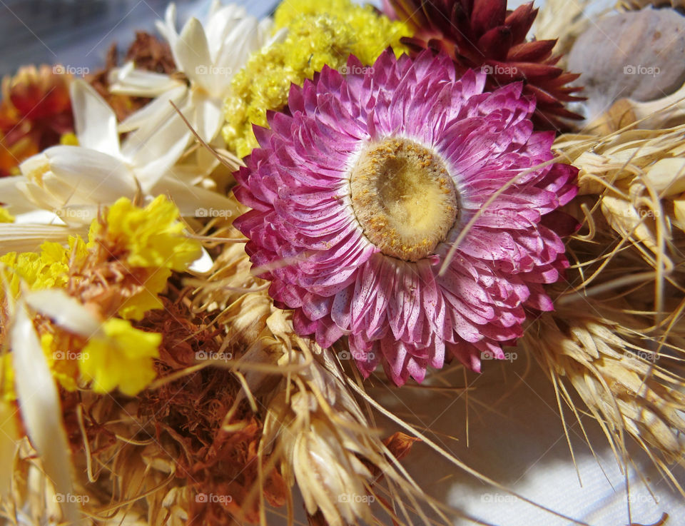 a bouquet of dried flowers and poppies on holiday