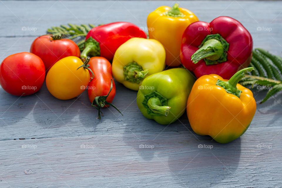 Summer garden colored bell peppers on a blue wooden background