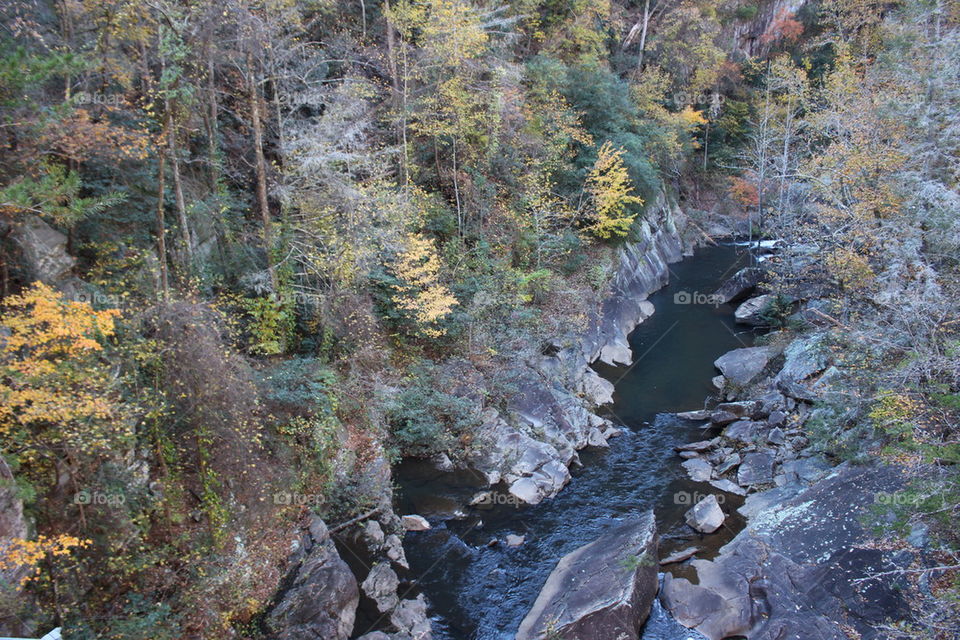 Toccoa Gorge