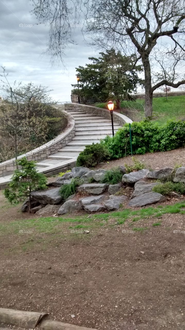 scene in nyc park. near my home