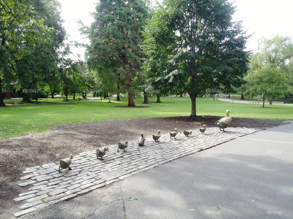 Make Way for Ducklings in the Boston Public Garden