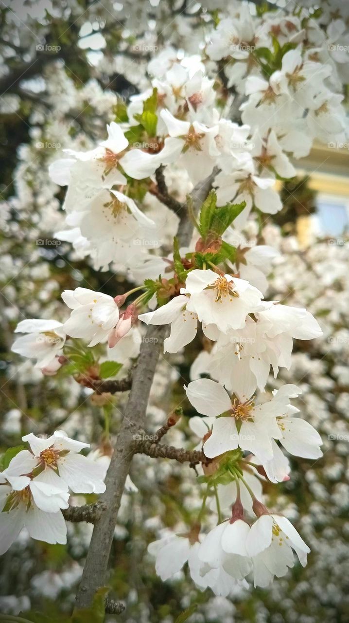 Sunday afternoon walk