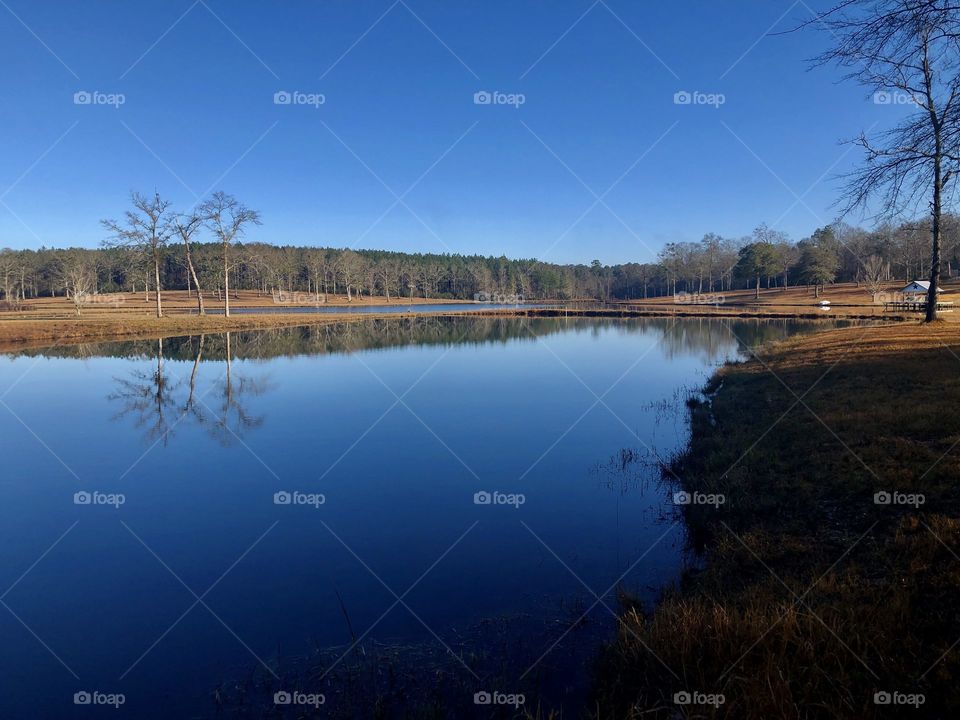 Quiet lake under a blue sky surrounded by nature 