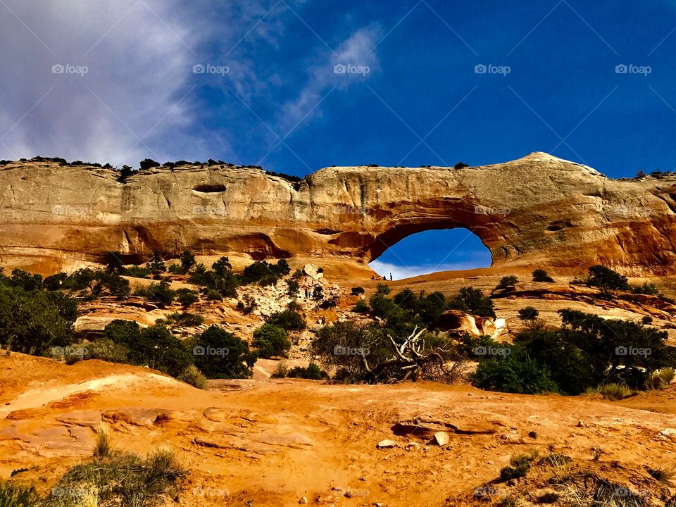 Wilson Arch