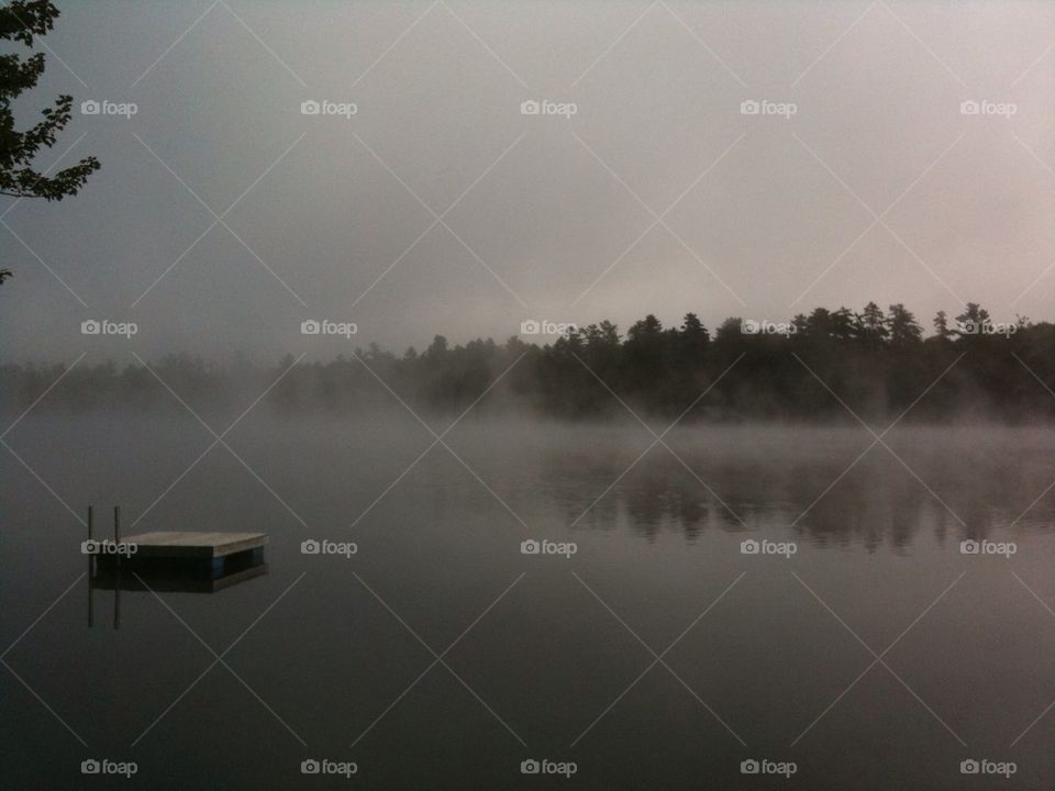 Fog on the lake