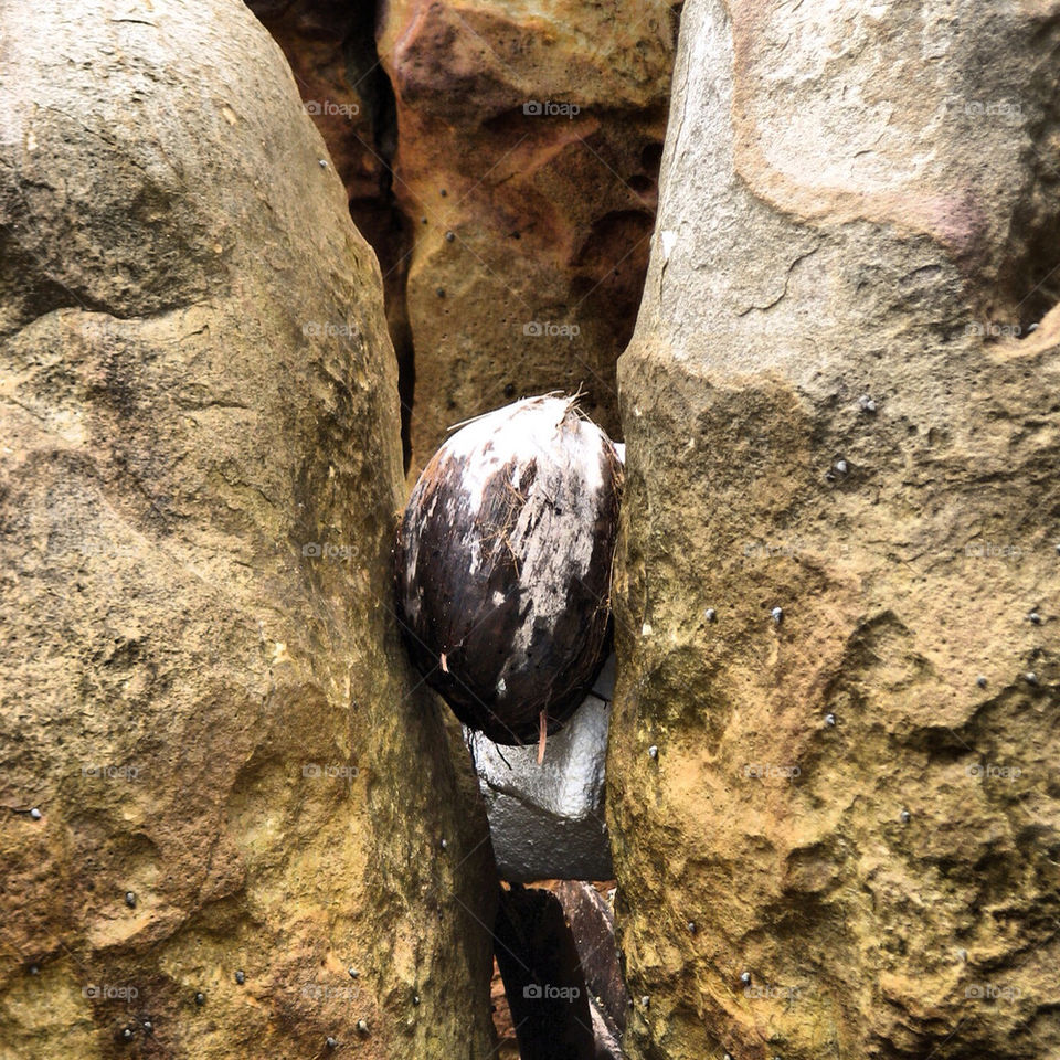 beach stone thailand coconut by hofit25