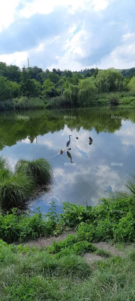 on a small lake