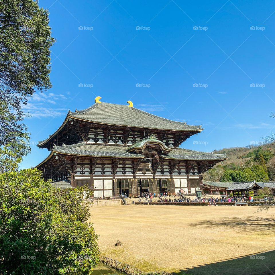 Todaiji Temple & Daibutsu of Nara