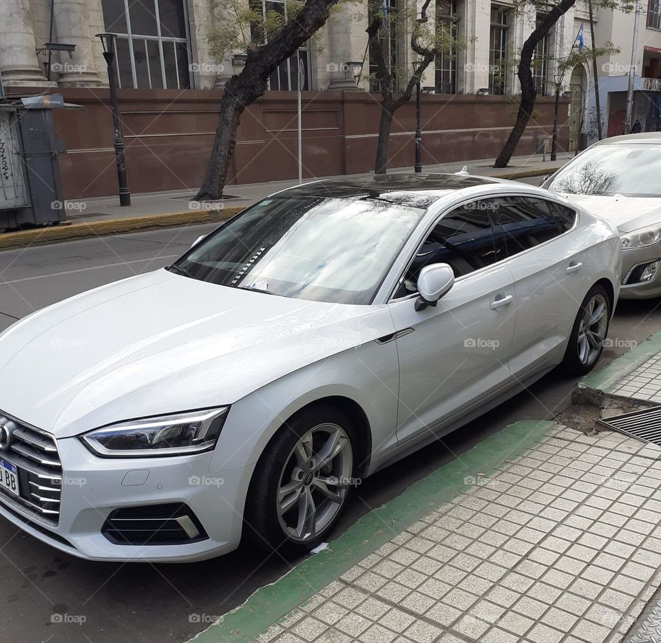 hermoso auto blanco