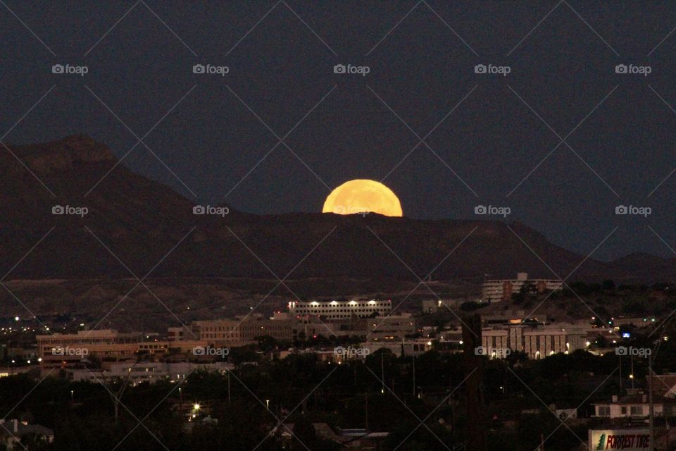 The Serenity of Dawn 