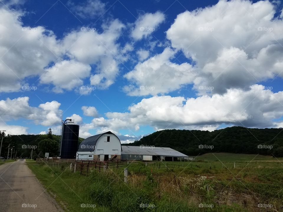 Driving the Back Roads and enjoying everything around us