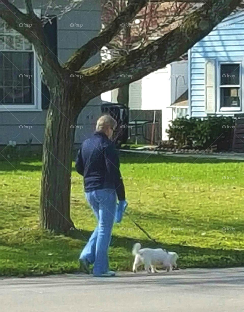 Woman Walking Dog