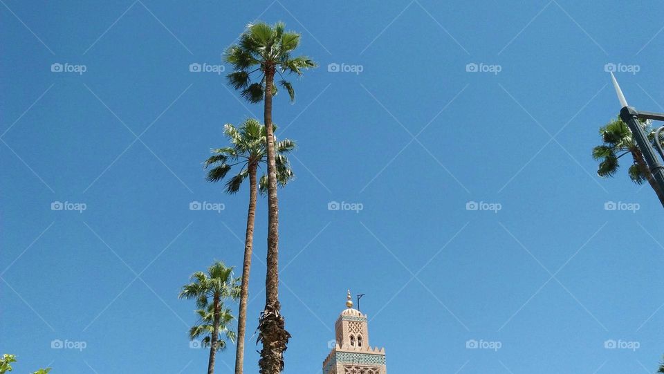 Minaret mosque and palm trees