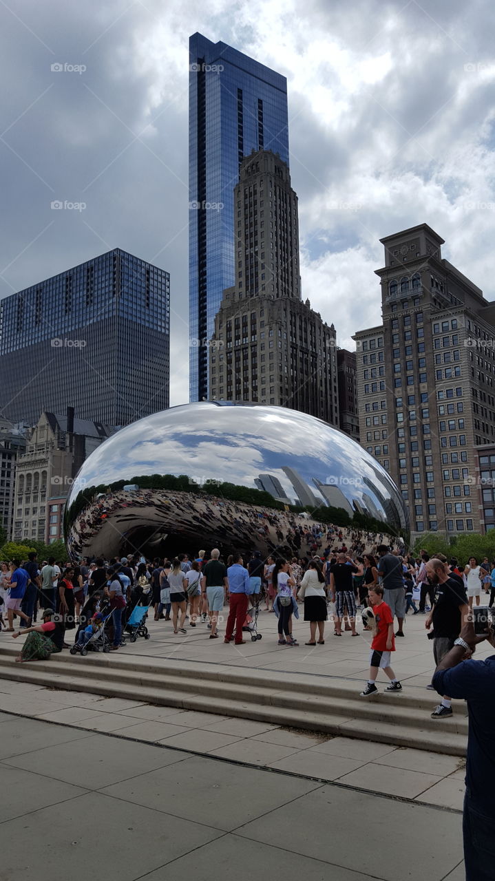 Chicago Bean