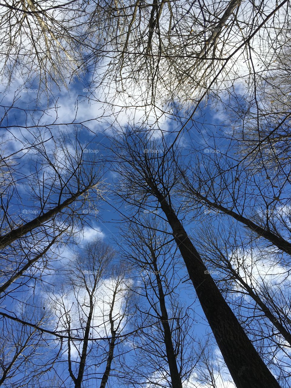 Looking up in the sky