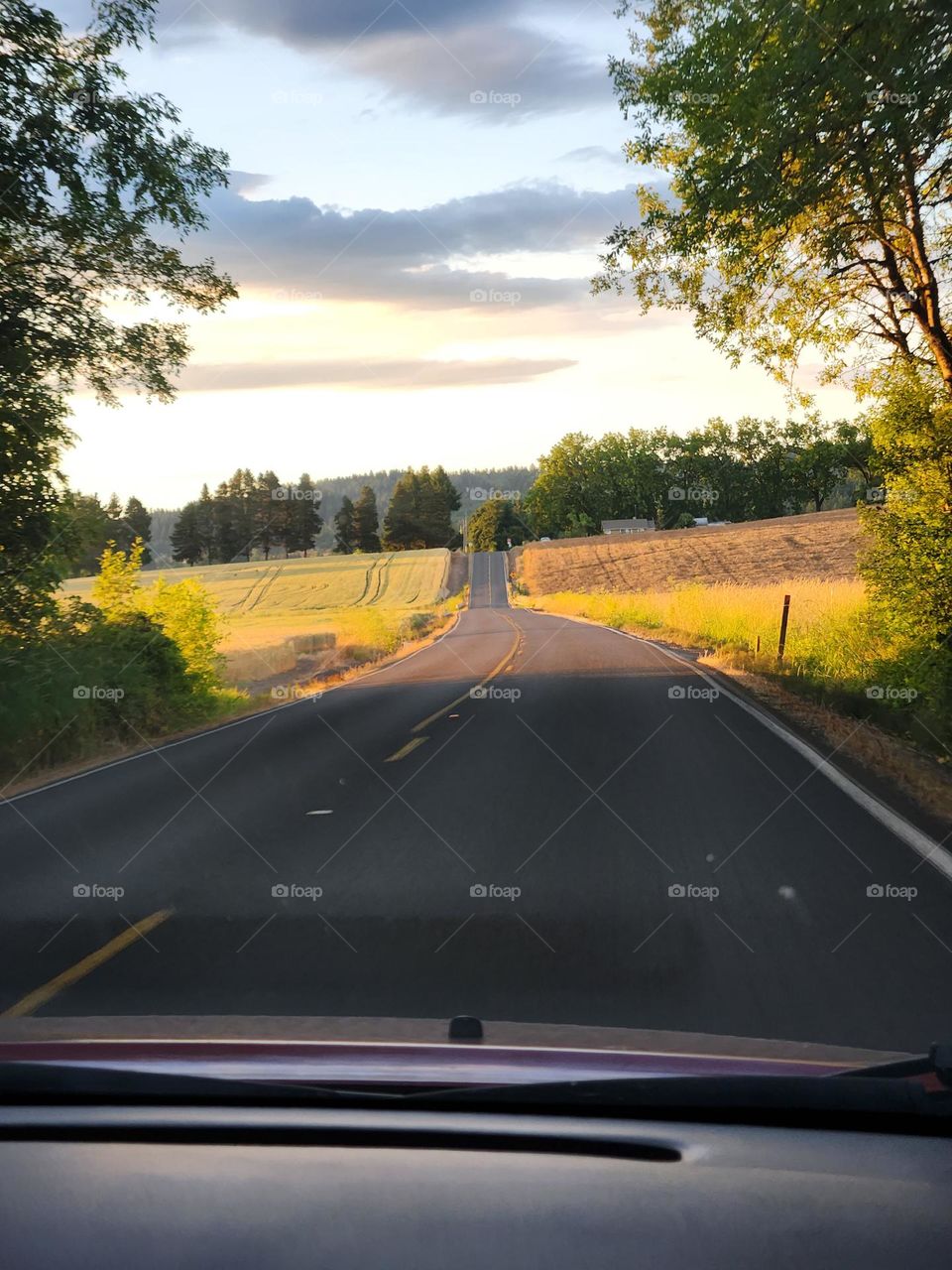 view through car windshield on evening Summer drive in Oregon of clouds, trees and sunlit country road