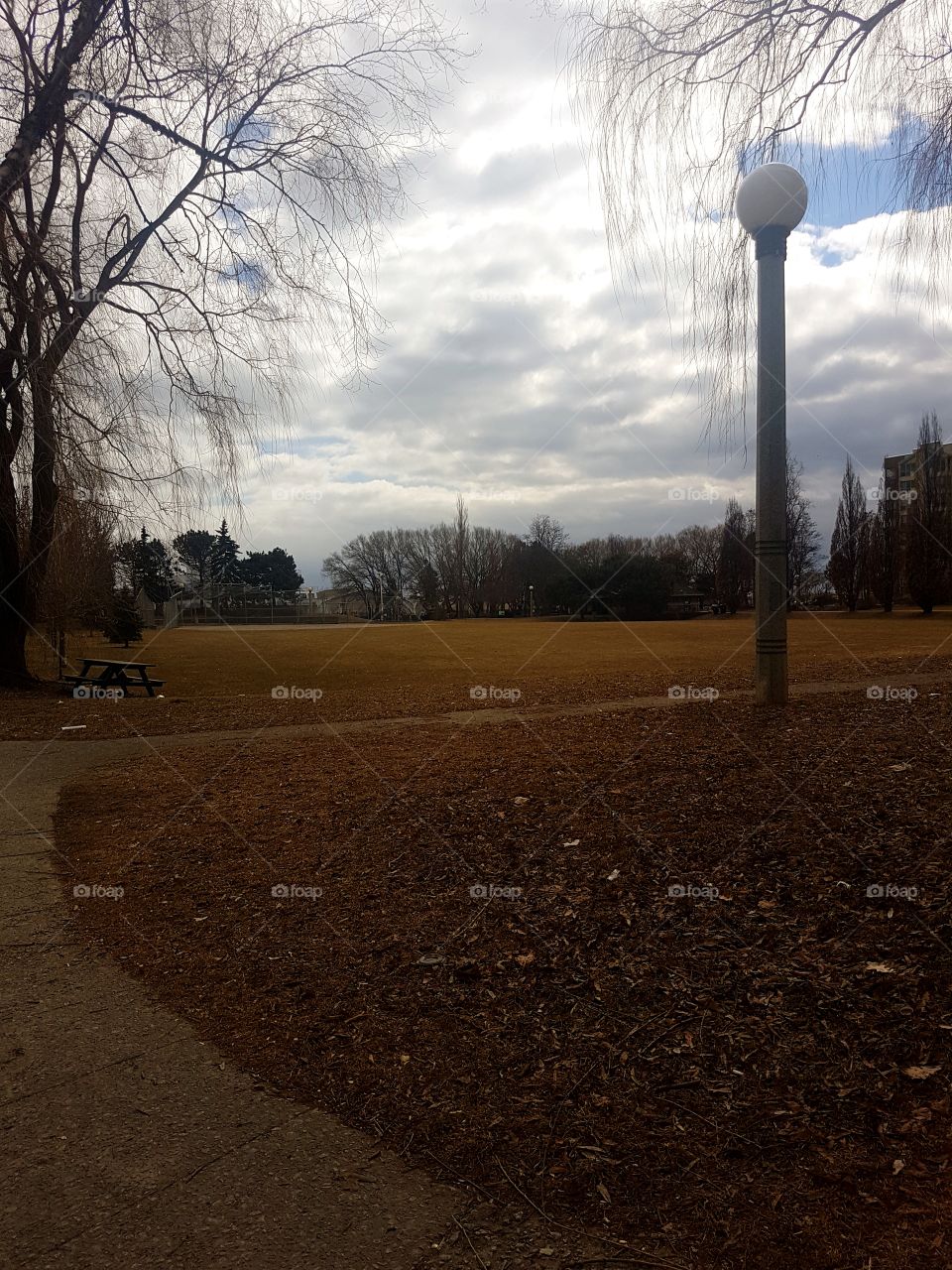 baseball diamond in park
