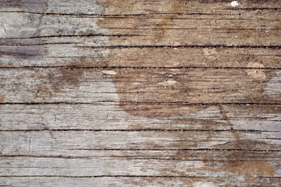 Wood background