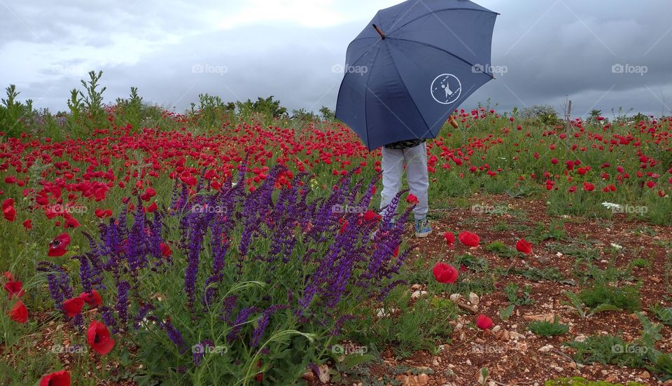 Beauty under the dark sky and a kid with umbrella in the poppy field