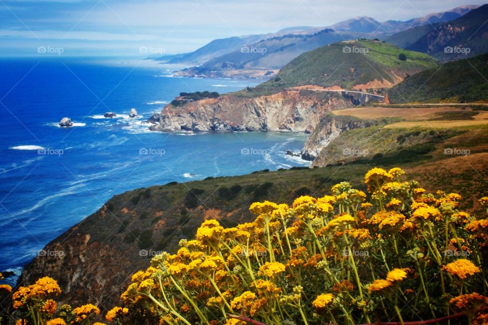 Yellow cliffs. Big Sur California coastline