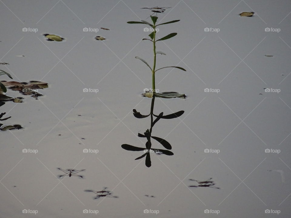 India Puducherry  reflection