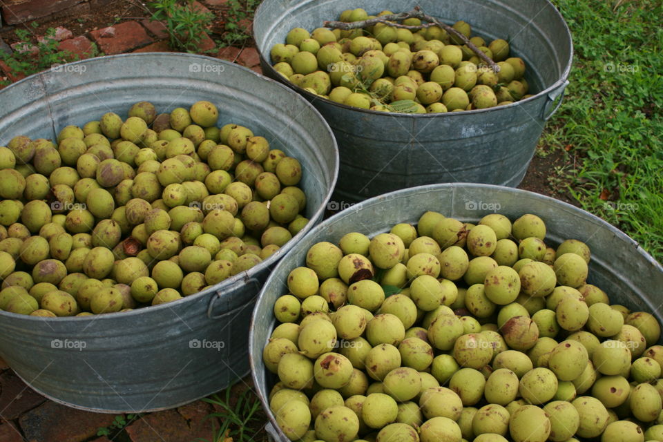 Walnuts 