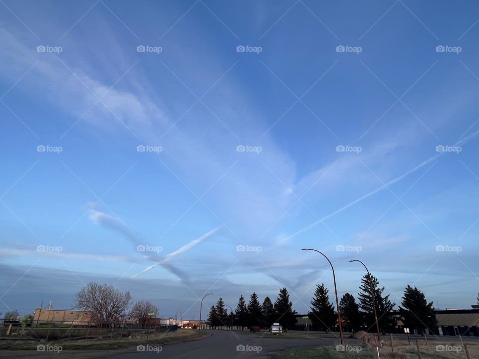 I found it interesting how many airplane trails were in the sky this evening, and all the patterns they made, so decided to take a picture for you all!