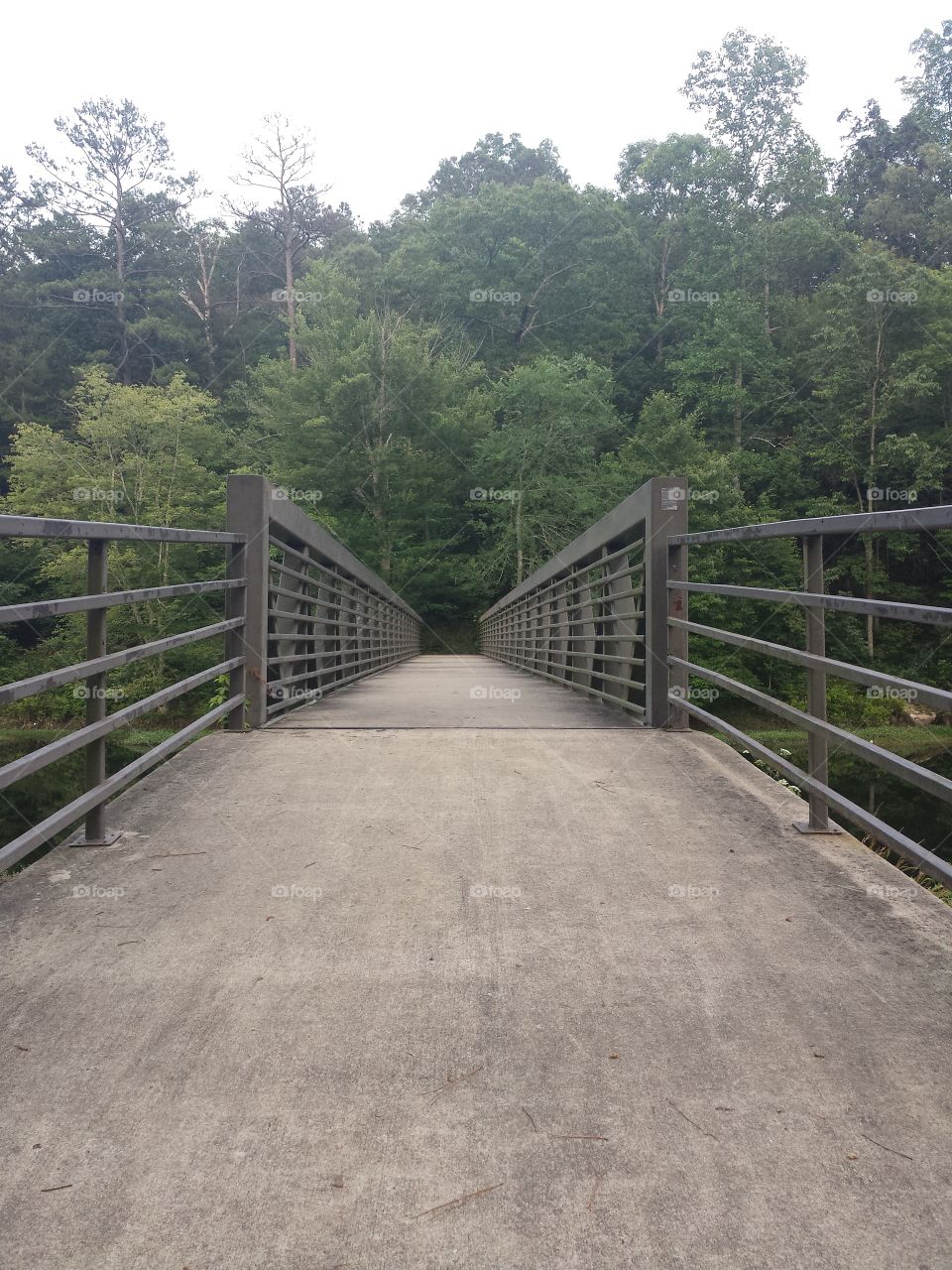 The Bridge. This is a walking bridge located near Gallant, AL
