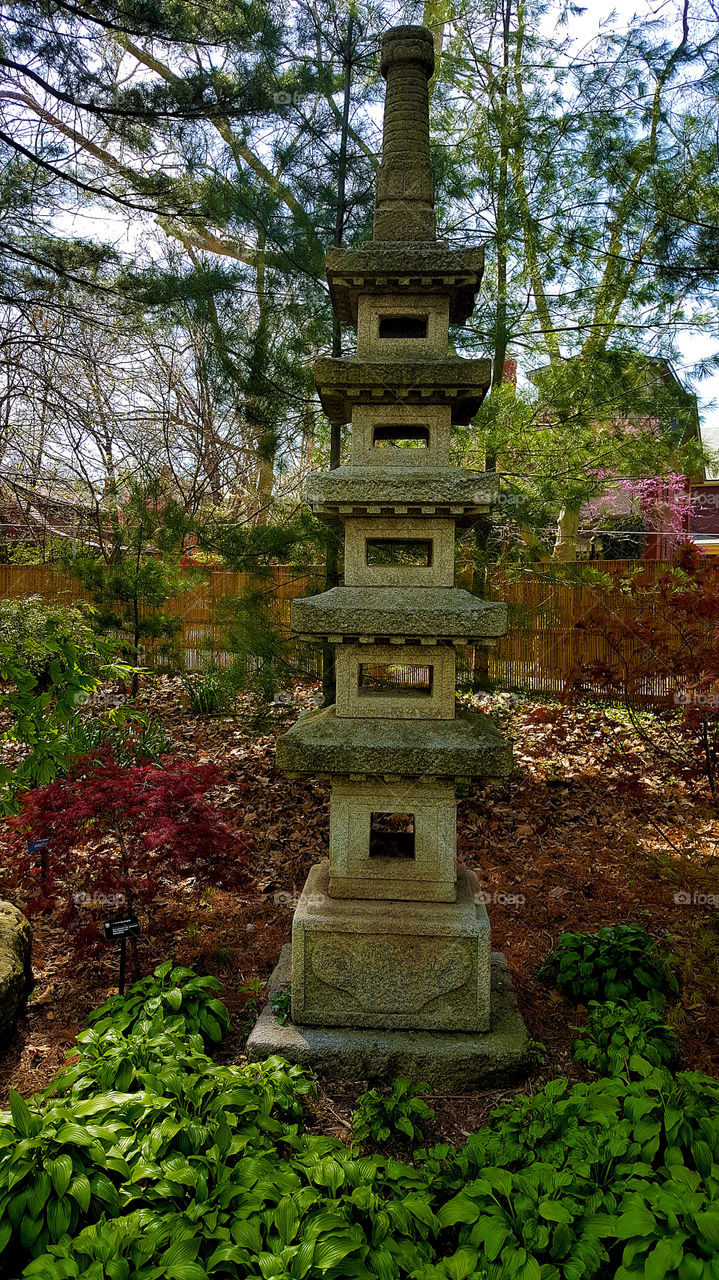 Japanese Gardens at the Botanical Gardens