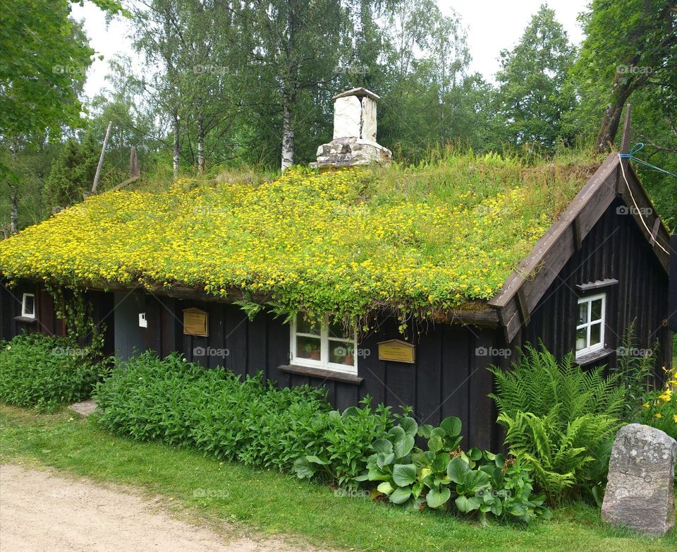 Black old cottage