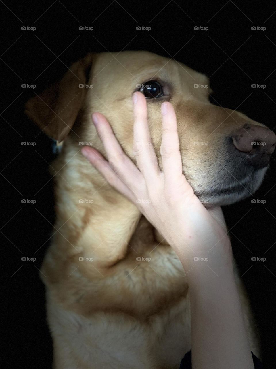 Editor’s Choice: Photo Of The Week