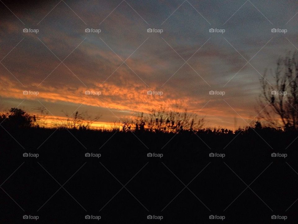 Sunset in Australian bush