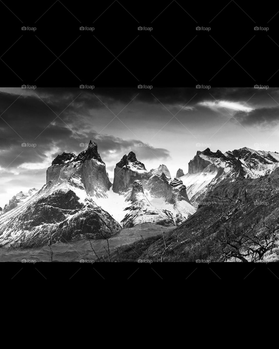 Nature does nothing in vain.