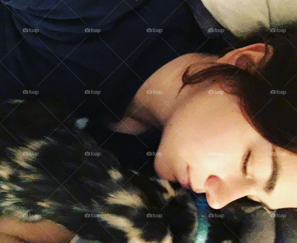 Solace with a kitten