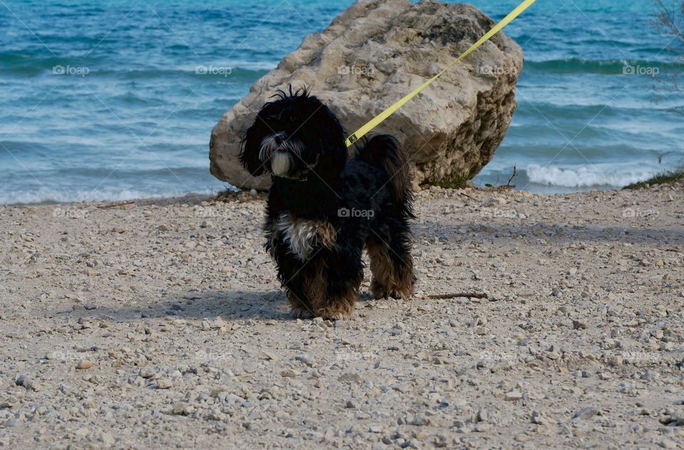 Rock Paper Zanna. Zanna at the Beach