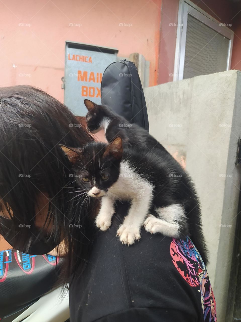 Go out with the furbabies