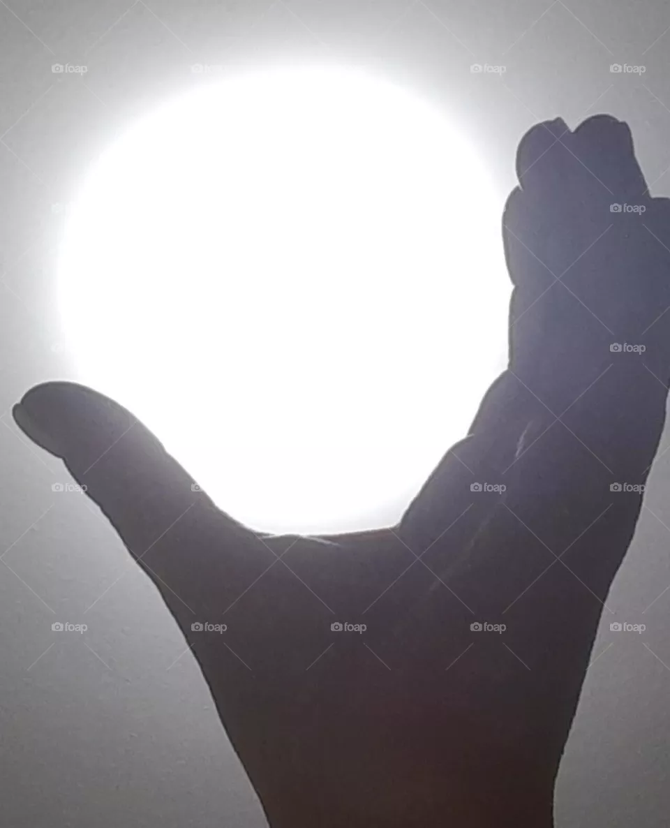 Holding the Light