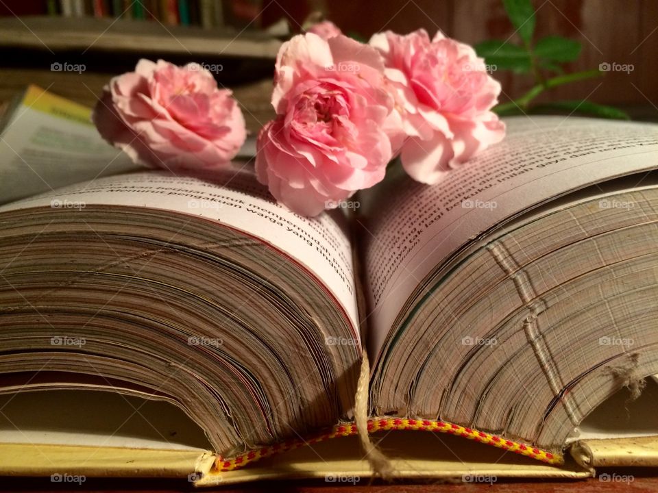 Book and flower