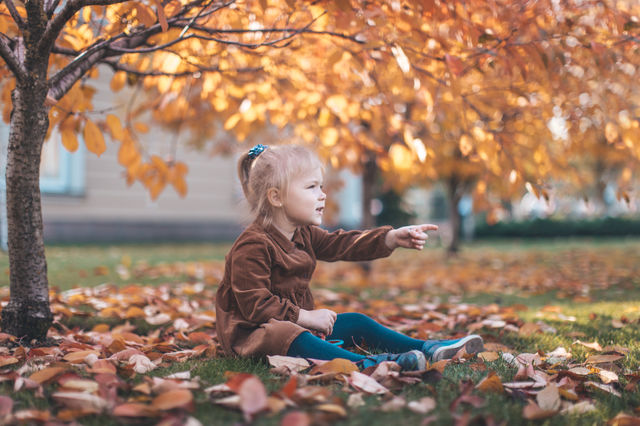 girl sitting under an autumn tree in orange foliage