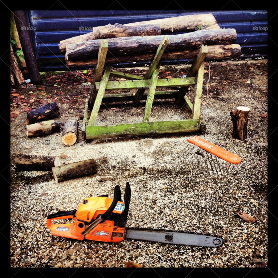northampton wood countryside chainsaw by chloemcgall