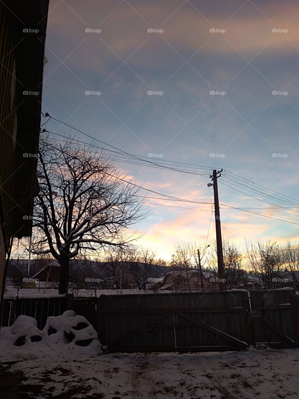 Rural scene in a cold day