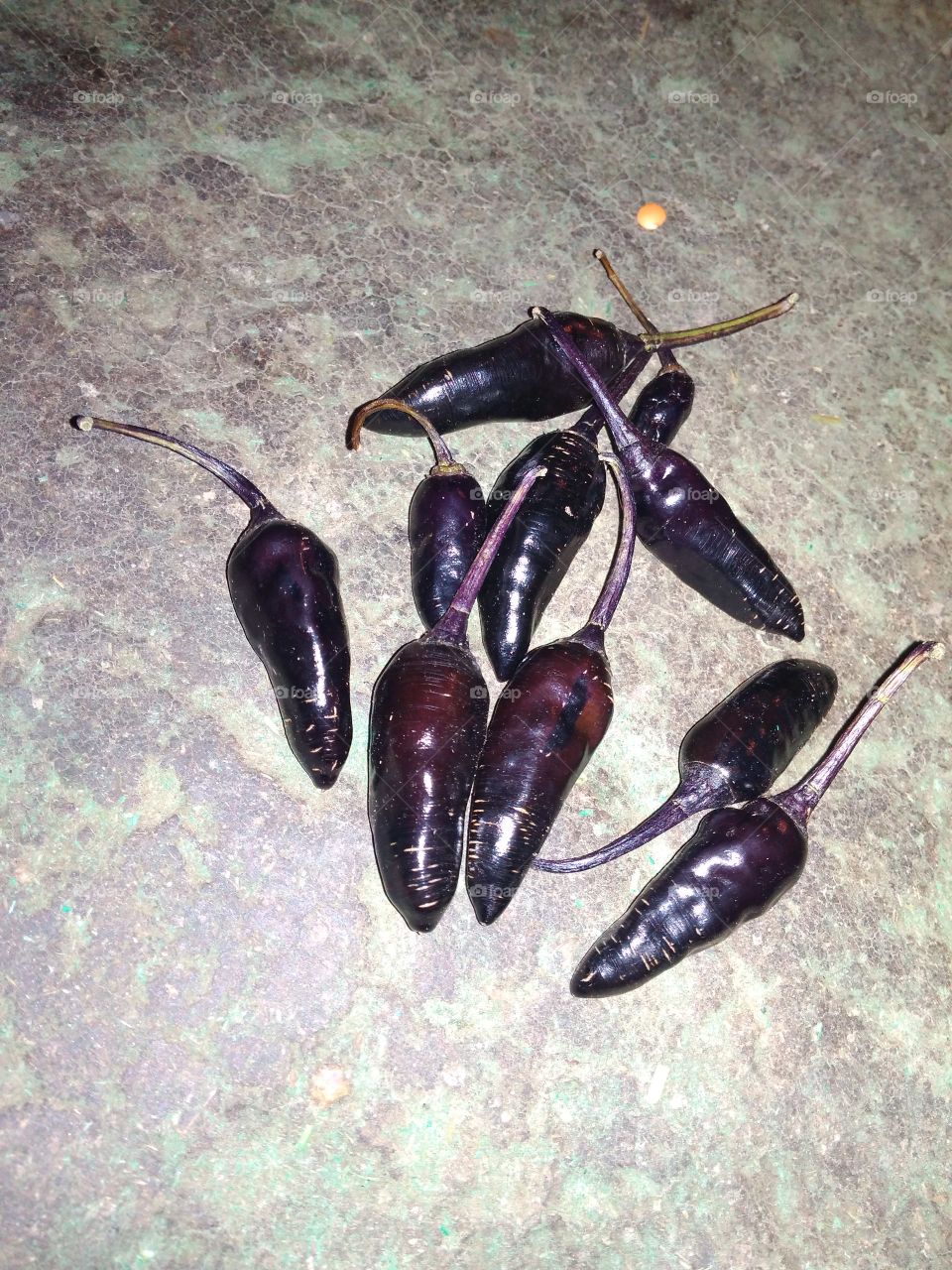 black chilli's