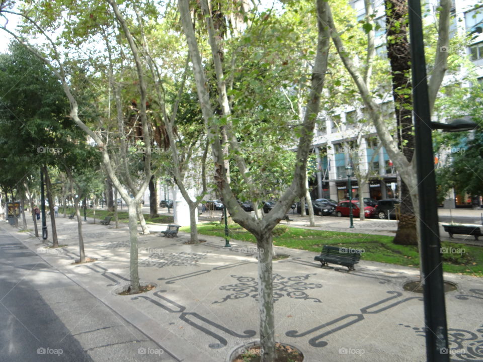 Boulevard Lisbon