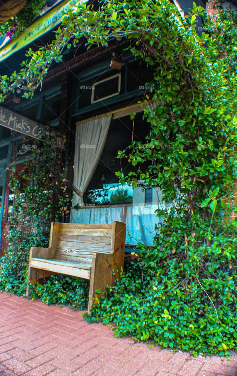 Clusters of green vines almost overtake their man made neighbors 