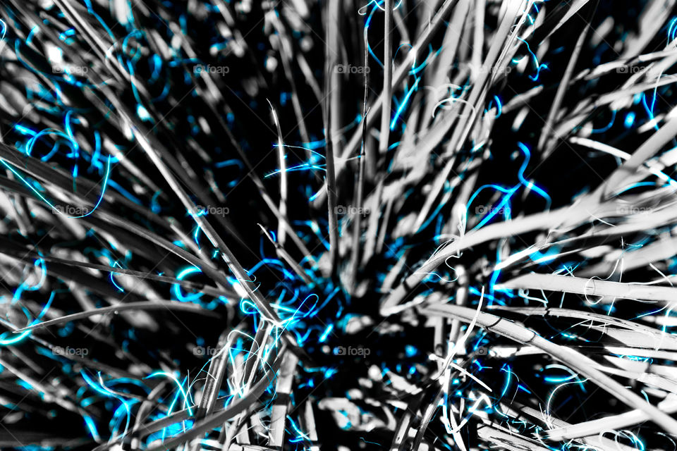 Abstract grass 