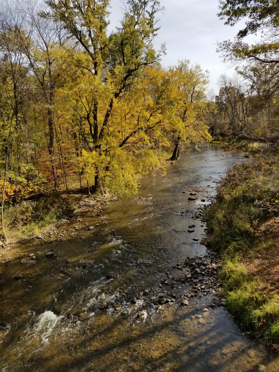 Autumn on the Maple River